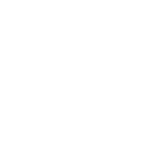 m tokarska sygnet biel